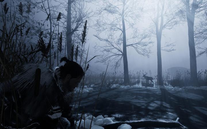 Actual product image THQ Fade to Silence (Xbox One X, Xbox Series X, FR)