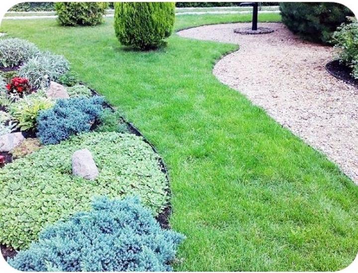 Immagine prodotto Green Split Nastro di plastica per la bordatura del prato 15 cm x 6 m (600 cm)