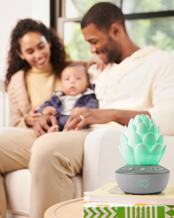 Image du produit Skiphop Veilleuse succulente