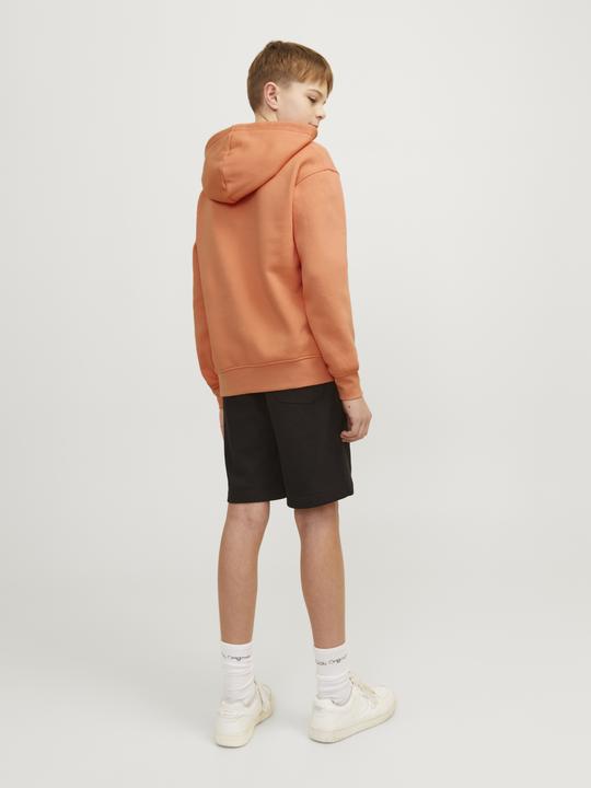 Actual product image Jack & Jones Hoodie (152)