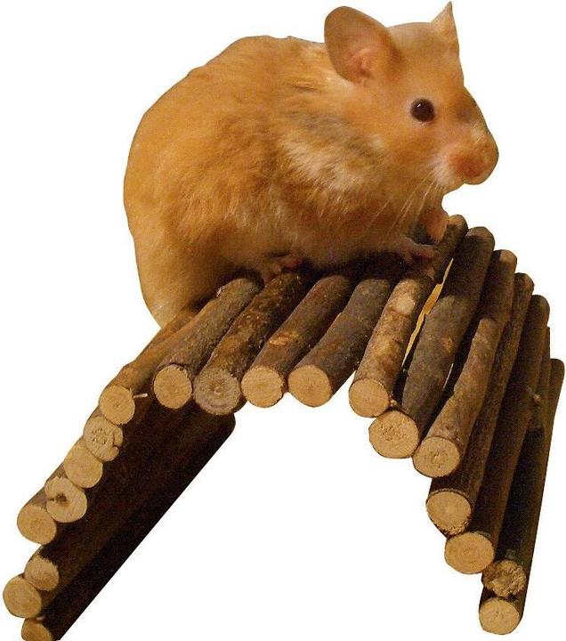 Actual product image Kerbl Wooden bridge