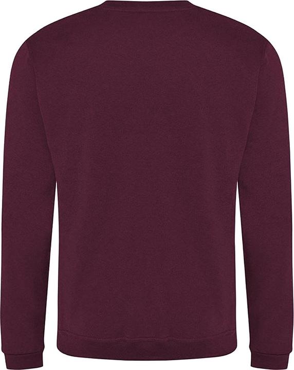 Actual product image Pro RTX Sweatshirt (4XL)
