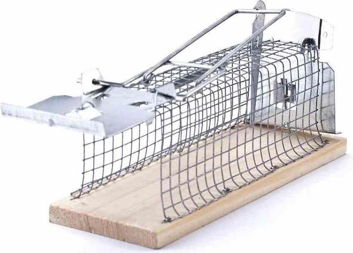 Swissinno Mouse Trappola Vivente Classico 1 St.
