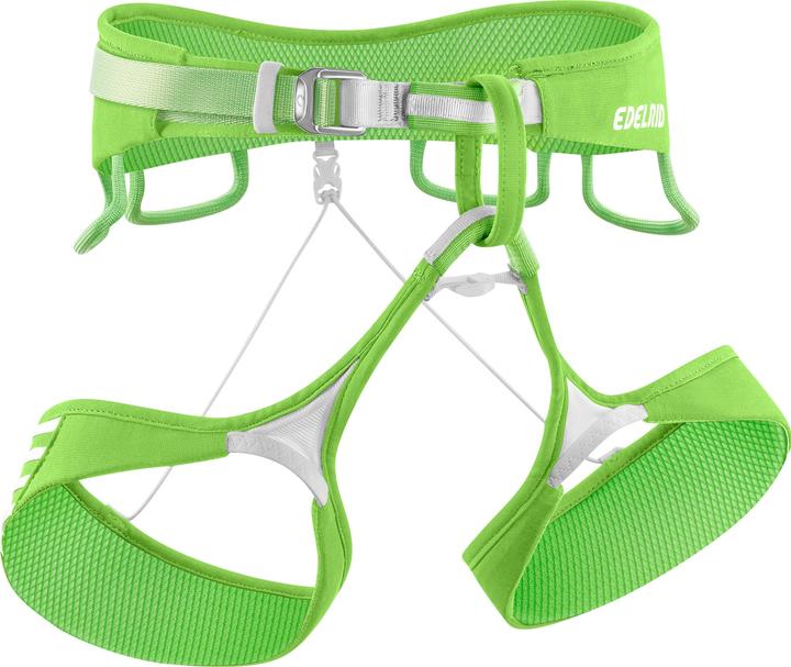 Verde Neon