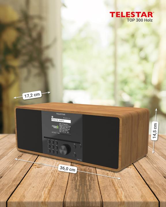 Immagine prodotto Telestar TOP 300 (Web radio, DAB, FM, Bluetooth, WiFi)