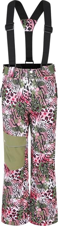 Actual product image Dare2b Childrens/Kids Pow Leopard Print Ski Trousers (146)