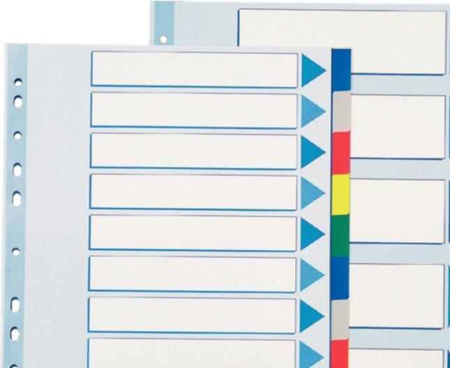 Productafbeelding Esselte Plastic tabbladen, A4, 225 mm, 297 mm