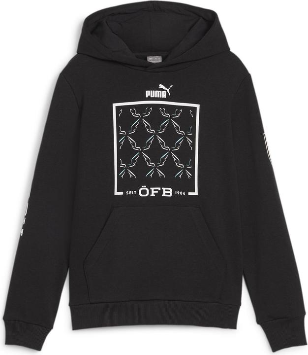 Puma ÖFB Ftblicons Hoody Jr (140)