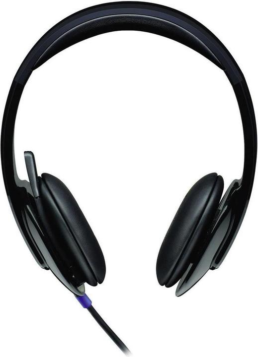 Actual product image Logitech DUPLICATE H540 (Cable, USB-A)