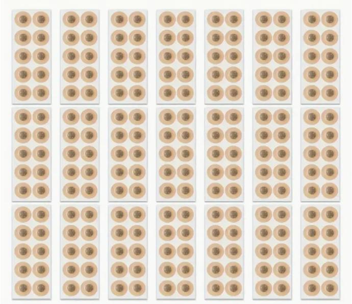 Image du produit Breathwell Magnetische Nasenpflaster 100 Stück (nur Aufkleber)