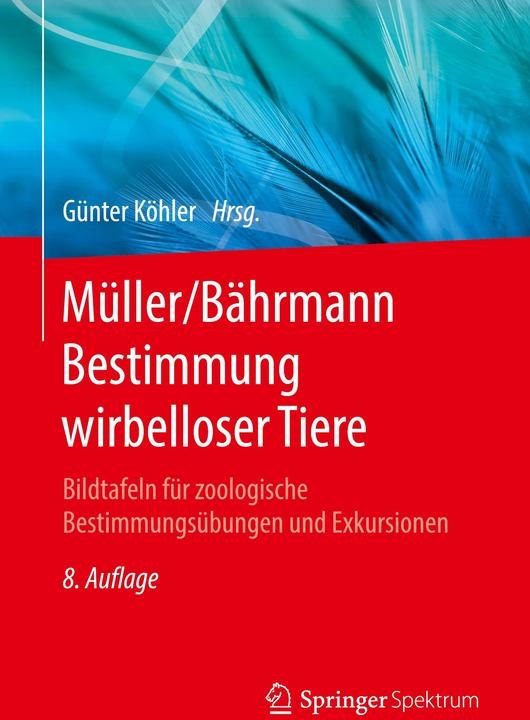 Produktbild Müller/Bährmann Bestimmung wirbelloser Tiere (Deutsch, Günter Köhler, 2022)