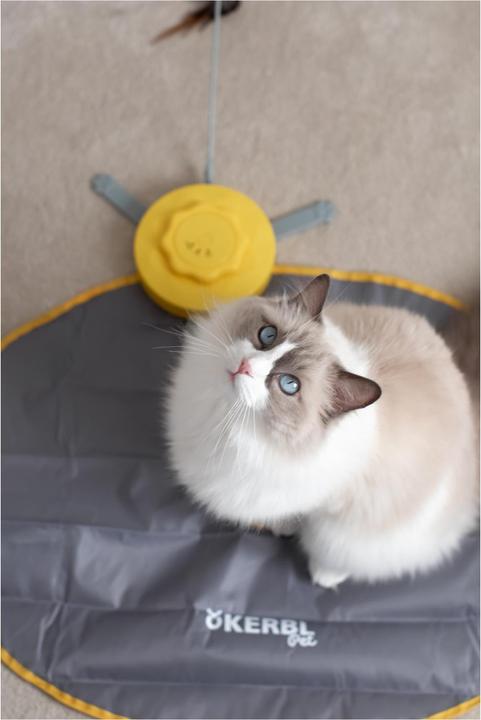 Actual product image Kerbl Catch the Tail (Intelligence toy cat)