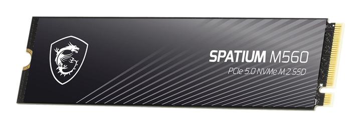 Actual product image MSI Spatium M560 (2000 GB, M.2 2280)