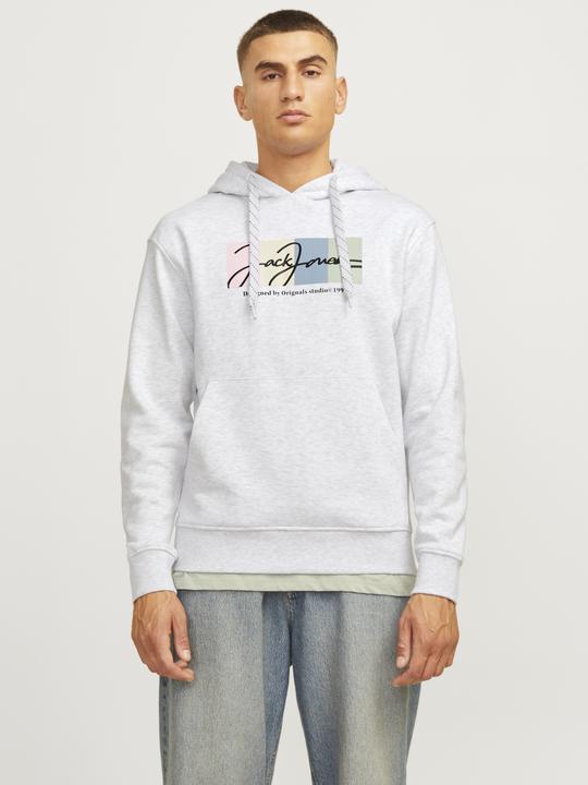 Actual product image Jack & Jones Jorportland Block Sweat Hood Ln (S)