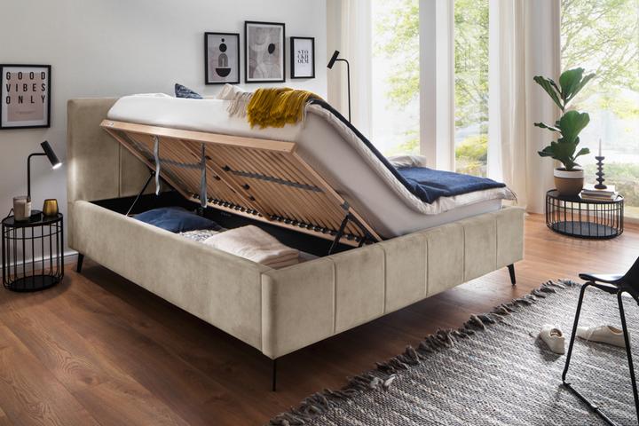 Produktbild Meise Möbel Polsterbett Lizzano mit Bettkasten (160 x 200 cm)