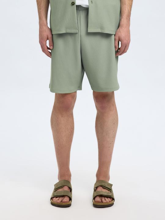 Actual product image Selected Homme Gerippte Shorts (M)