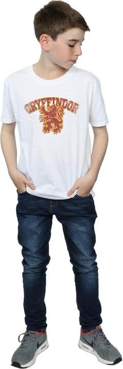 Immagine prodotto Gryffindor Sport Emblem Maglietta Ragazzi (140, 146)