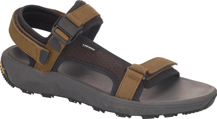 Lizard Super Trek (36)