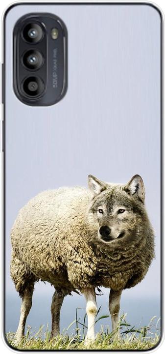 Wolf im Schafspelz