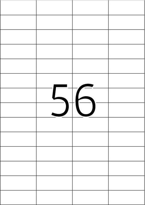 Actual product image HERMA A4 removable labels