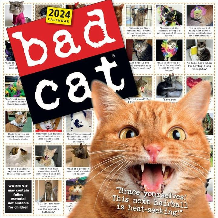 Immagine prodotto Calendario da parete Bad Cat 2024 (Inglese)