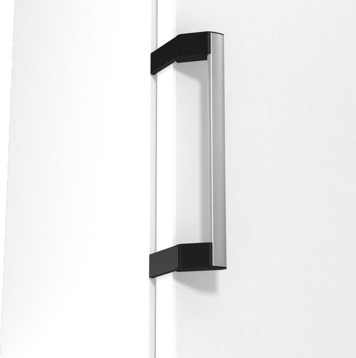 Actual product image Gorenje R619EAW6 (398 l)