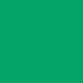 Produktbild Falcon Eyes Hintergrund Papier 46 Chroma Green 2,18 x11 m (1100 cm, 1100 cm)