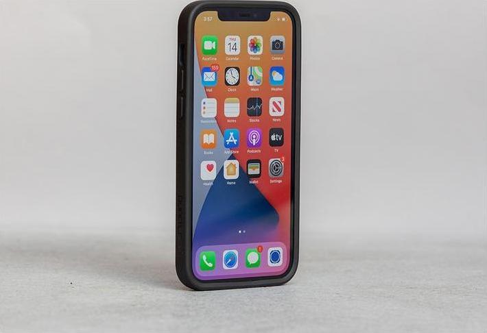 Actual product image Quad Lock Case (Apple iPhone 12 Pro Max)