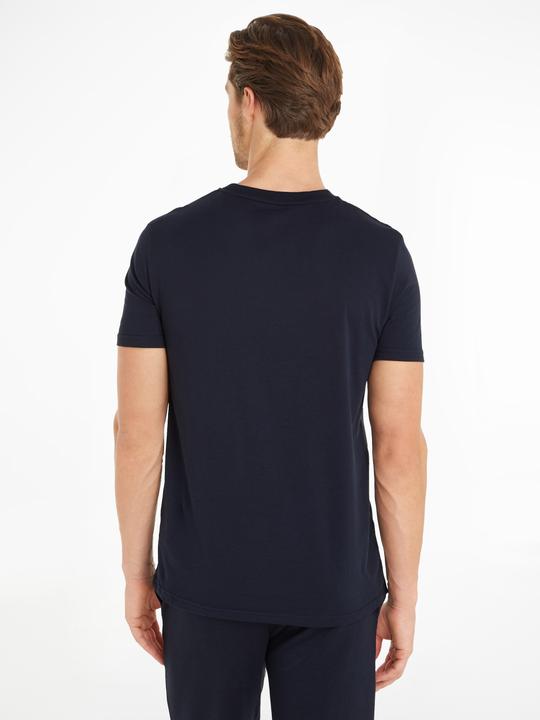 Actual product image Tommy Hilfiger T-shirt for men (XL)