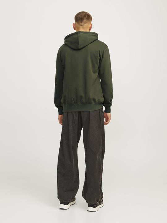 Actual product image Jack & Jones Gedruckt Kapuzenpullover Kapuzenpullover (S)