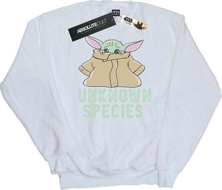 Star Wars The Mandalorian Unknown Species Sweatshirt (XXL)
