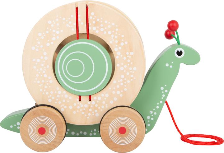 Actual product image small foot snail
