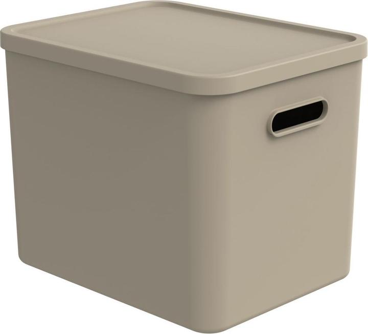 Produktbild Rotho Babydesign Spielzeugbox KAYO L Cappuccino
