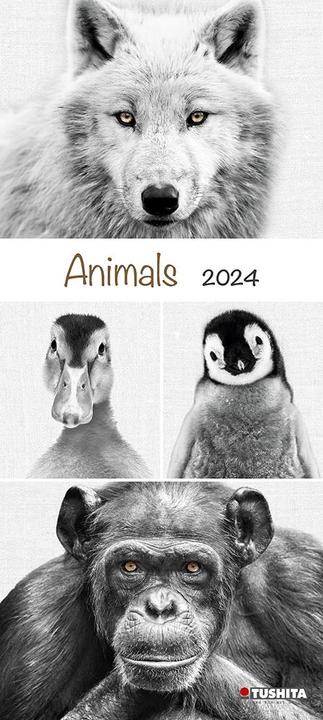 Actual product image Animals 2024 (30 x 30 cm, Hardcover, Spanish, French, Italian, Polish, English, Dutch, Czech, German)