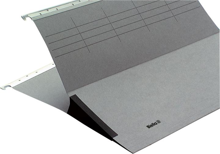 Produktbild Biella ORIGINAL Hängemappe mit Frosch (Seitenfalz) (A4, 1 x)