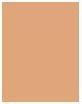 Actual product image Sensai Luminous Sheer Foundation (#LS202 Ochre Beige)