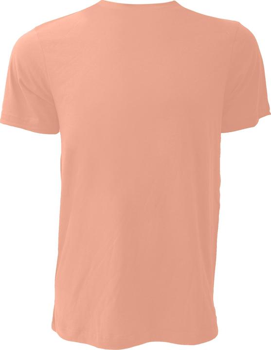 Immagine prodotto Bella Canvas Tshirt in jersey di tela a maniche corte (S)