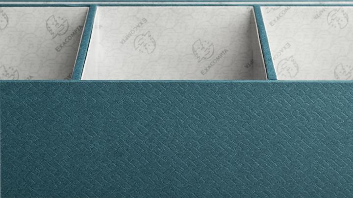 Actual product image Exacompta - Duck blue