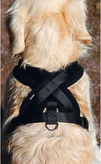 Actual product image Karlie Art Sportive Plus Harness Cross (Dog, Dog sport)