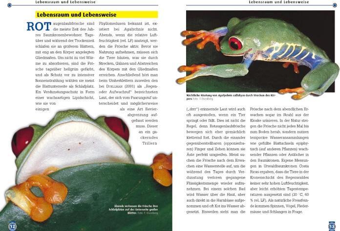 Produktbild Der Rotaugenlaubfrosch (Deutsch, Tobias Eisenberg, 2010)
