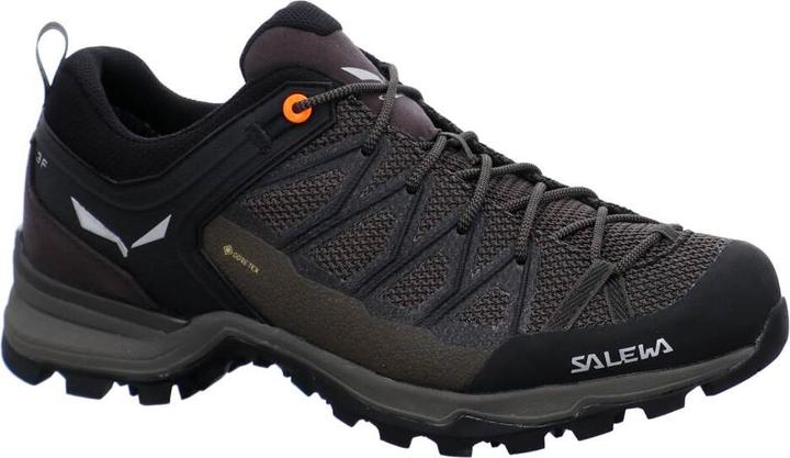 Actual product image Salewa Mountain Trainer Lite GORE-TEX (41)
