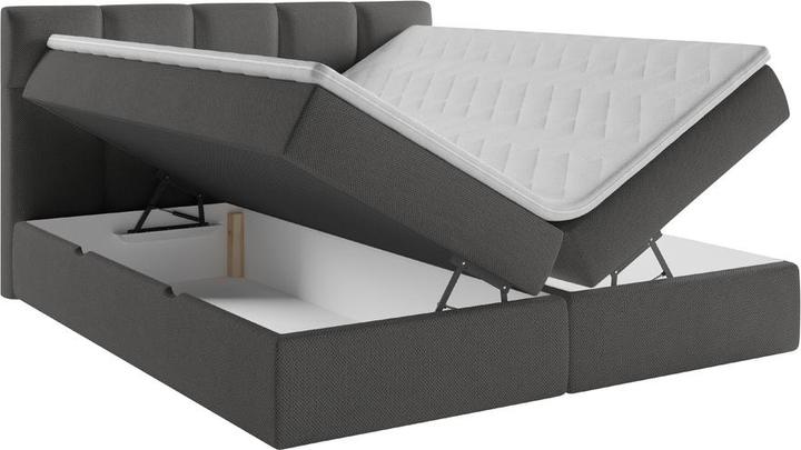 Image du produit Livetastic Lorie
