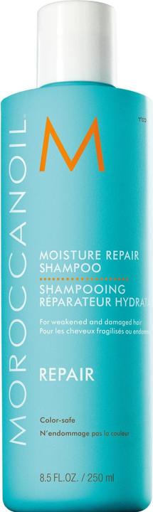 Moroccanoil Repair
