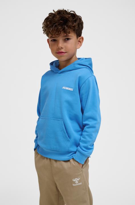 Actual product image hummel hmlCASPER HOODIE (110)