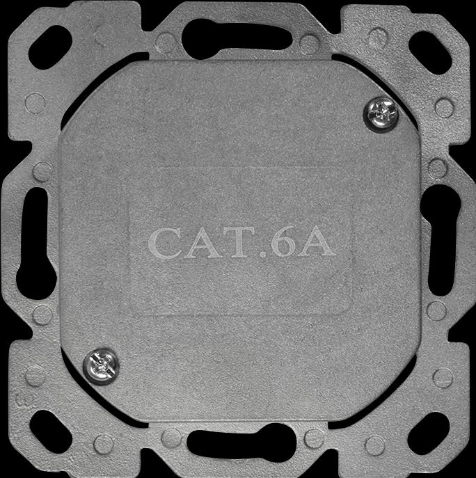 Produktbild LogiLink Cat.6A Netzwerkdose UP 2 x RJ45 geschirmt, reinweiss, senkrechte Kabelzuführung