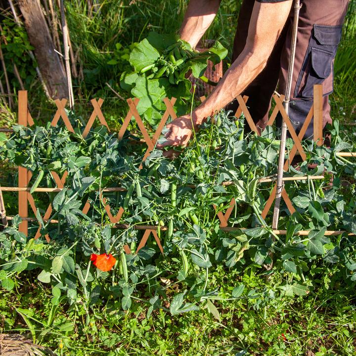 Actual product image Relaxdays Trellis (2.80 cm, 27.50 cm)