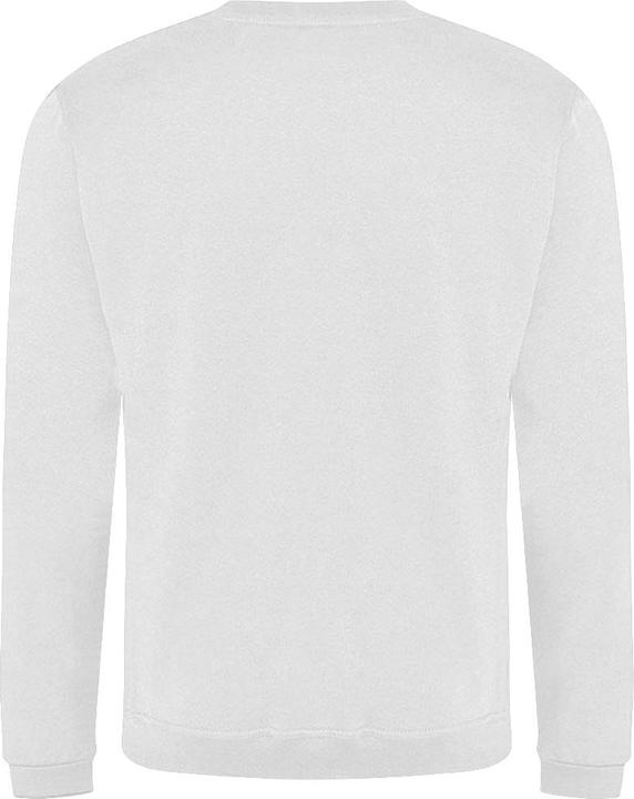 Immagine prodotto Pro RTX Felpa (L)