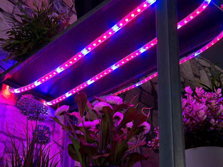 Produktbild Lunartec Pflanzen Wachstums (LED, 230 V)