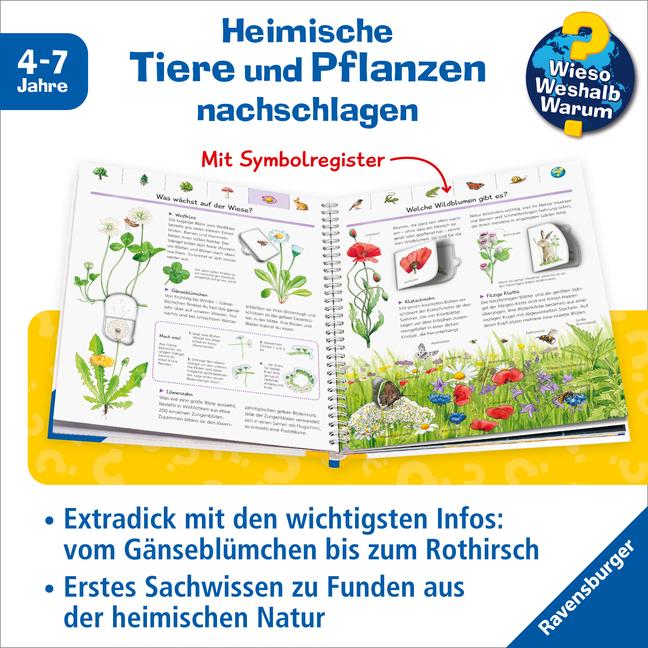 Produktbild Ravensburger Kinder-Sachbuch WWW Mein grosses Natur-Lexikon (Deutsch, Sandra Noa, 2021)