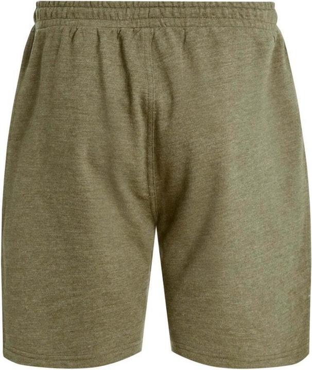 Actual product image Protest Jogging Shorts Prtrolan Jr (152)
